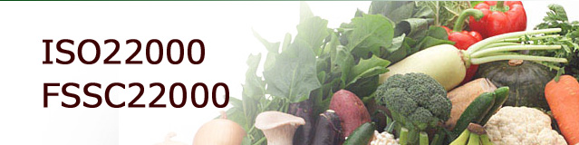 iso image